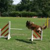 agility 2011-07-24